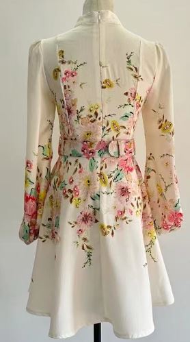 Button-Down Accent Printed Mini Dress